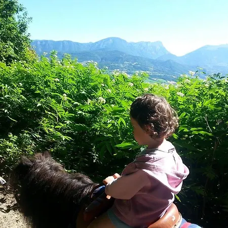 Du Bois De Vache