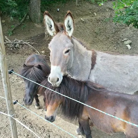 בקתה Du Bois De Vache
