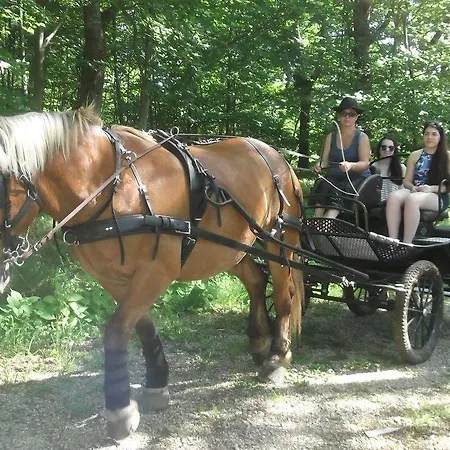 בקתה Du Bois De Vache *