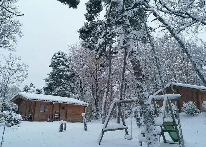 Chalet Du Bois De Vache