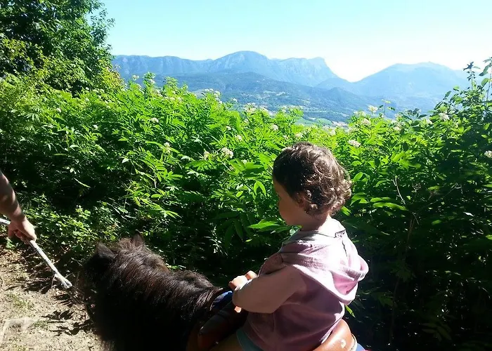 Du Bois De Vache