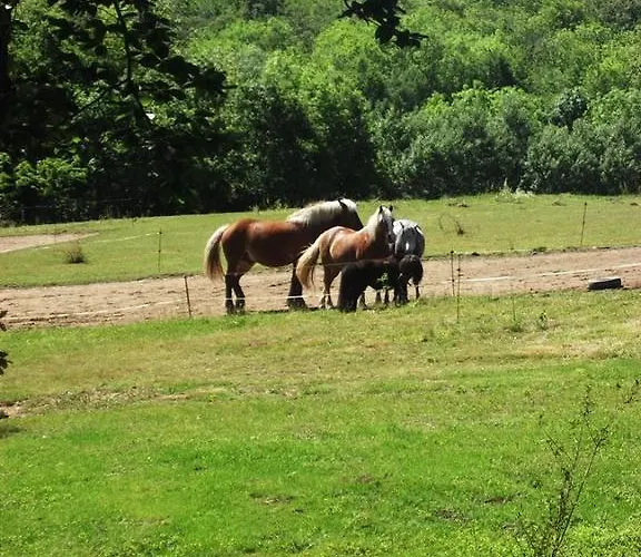 Du Bois De Vache