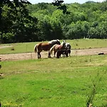 Du Bois De Vache